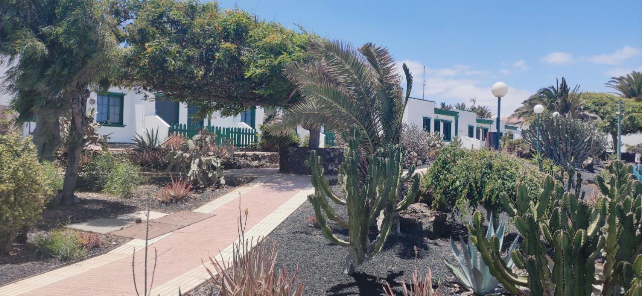 Casa Alice Cocosol Villa Costa De Antigua Eksteriør bilde